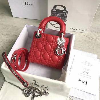 Lady Dior mini 1553 