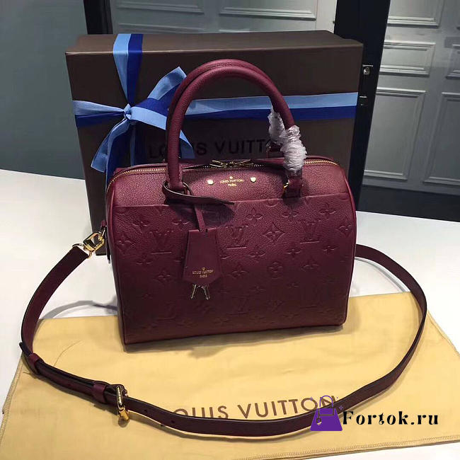 LOUIS VUITTON SPEEDY BANDOULIÈRE 3808 25cm - 1