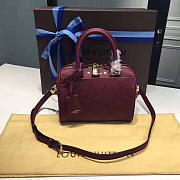 LOUIS VUITTON SPEEDY Raisin 3819 20cm - 1