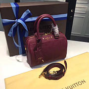 LOUIS VUITTON SPEEDY Raisin 3819 20cm - 3