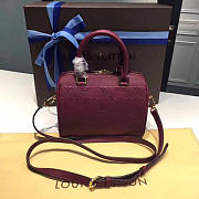 LOUIS VUITTON SPEEDY Raisin 3819 20cm - 4