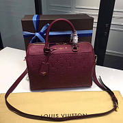 LOUIS VUITTON SPEEDY Raisin 3819 20cm - 5