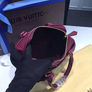 LOUIS VUITTON SPEEDY Raisin 3819 20cm - 6