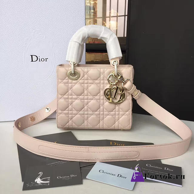 Lady Dior 1624 - 1