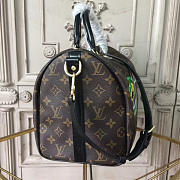 Louis Vuitton Speedy WORLD TOUR 3683 30cm  - 5