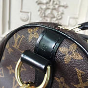 Louis Vuitton Speedy WORLD TOUR 3683 30cm  - 6