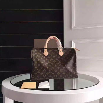 Louis Vuitton speedy Monogram Canvas 3799 35 