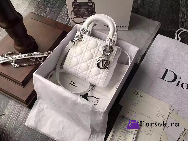 Lady Dior mini 1567  - 1