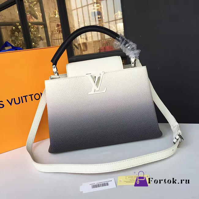 Louis Vuitton CAPUCINES PM 3458 - 1