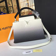Louis Vuitton CAPUCINES PM 3458 - 1