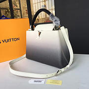 Louis Vuitton CAPUCINES PM 3458 - 5