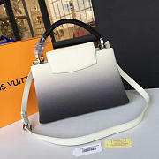 Louis Vuitton CAPUCINES PM 3458 - 4
