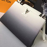 Louis Vuitton CAPUCINES PM 3458 - 3