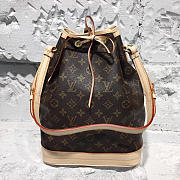 Louis Vuitton Neonoe BB Monogram Canvas 24.5cm  - 1