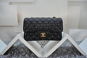 CHANEL Caviar Leather Flap Bag With Gold / Silver Hardware Black 20cm  - 2