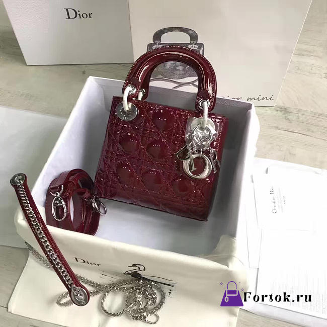 Lady Dior mini 1551  - 1