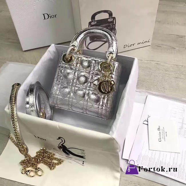 Lady Dior mini 1561  - 1