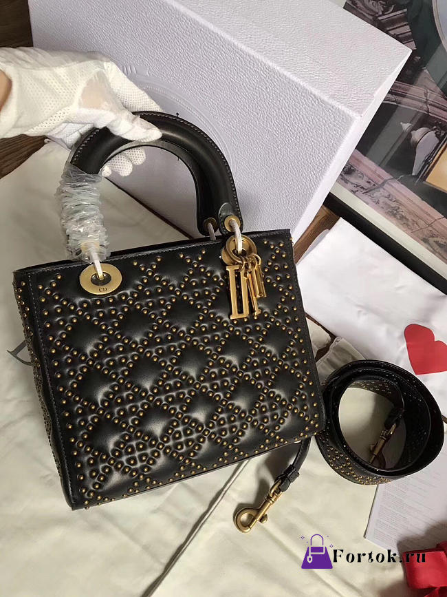 Lady Dior 1566  - 1
