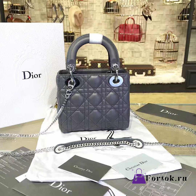 Mini Lady Dior 1791  - 1