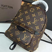Louis Vuitton Palm Springs Backpack Mini Monogram Canvas M41562 - 5