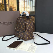 Louis Vuitton Palm Springs Backpack Mini Monogram Canvas M41562 - 3
