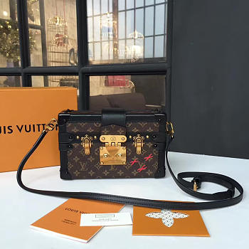 Louis Vuitton PETITE MALLE Monogram 3496 19cm