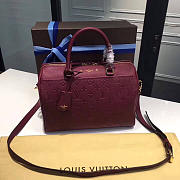LOUIS VUITTON SPEEDY Raisin 3802 30cm - 1