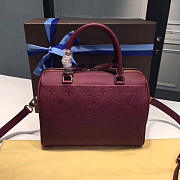 LOUIS VUITTON SPEEDY Raisin 3802 30cm - 5