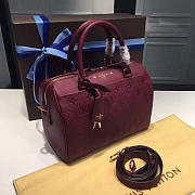 LOUIS VUITTON SPEEDY Raisin 3802 30cm - 3