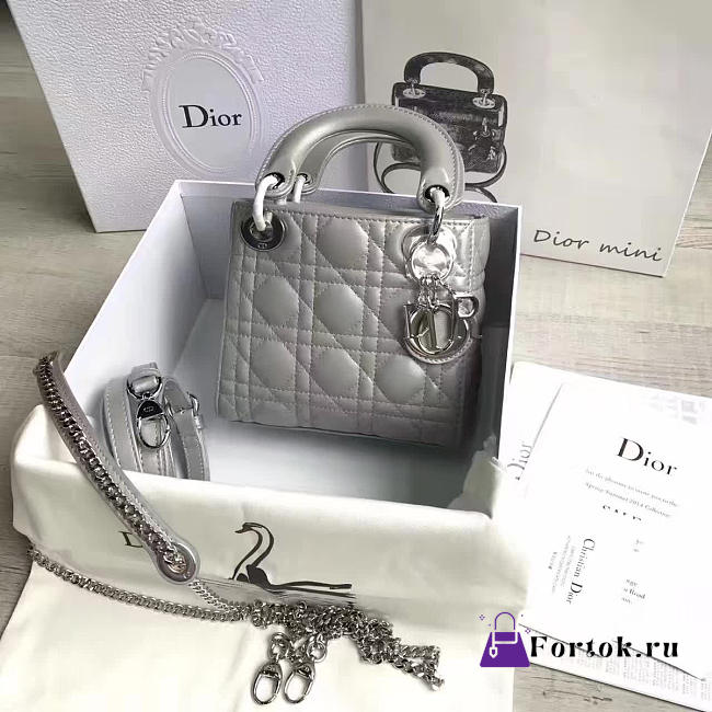 Lady Dior mini 1557  - 1