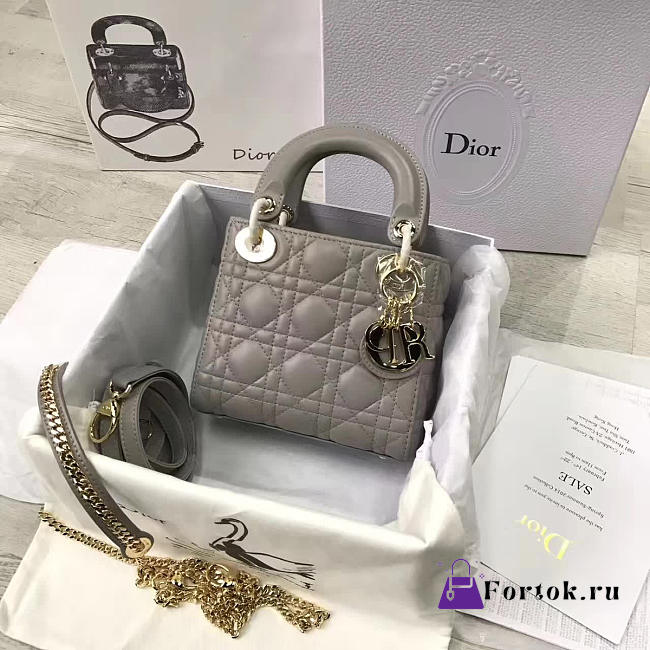 Lady Dior mini 1568  - 1