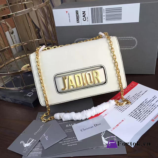 Dior Jadior bag 1763  - 1