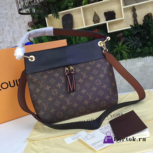 Louis Vuitton TUILERIES BESACE Marine Bordeaux 3056 - 1