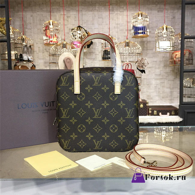 LOUIS VUITTON Monogram Canvas NANO - 1