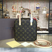 LOUIS VUITTON Monogram Canvas NANO - 4