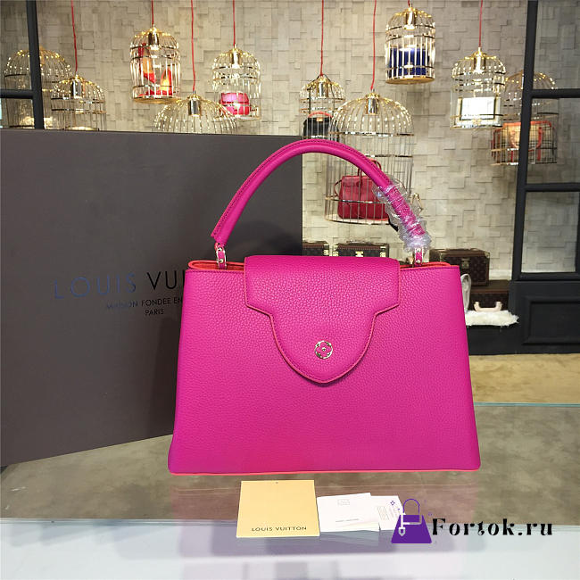 LOUIS VUITTON CAPUCINES LEATHER 3468 - 1