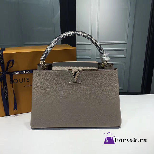 LOUIS VUITTON CAPUCINES MM Galet 3674  - 1