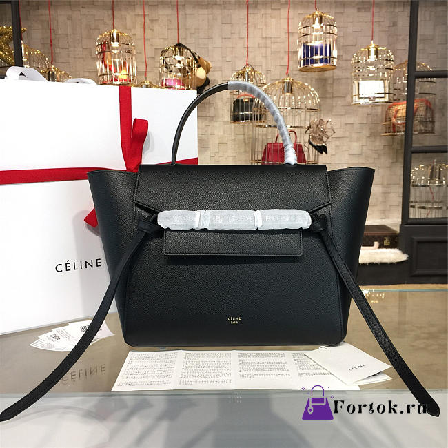 Celine Leather Bag Z1204 - 1