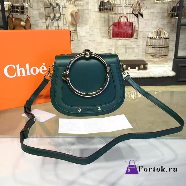 Chloe Leather Nile Z1343 - 1