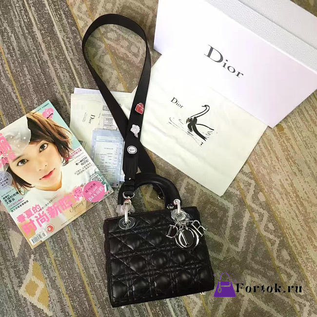 Lady Dior 1617  - 1