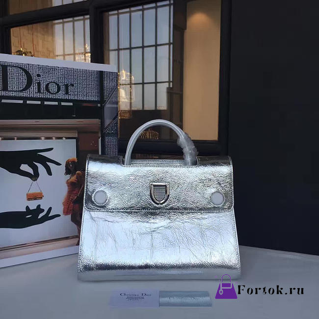 Dior EVER Silver 1731 30cm - 1