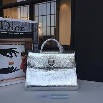 Dior EVER Silver 1731 30cm