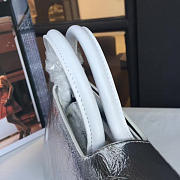 Dior EVER Silver 1731 30cm - 6