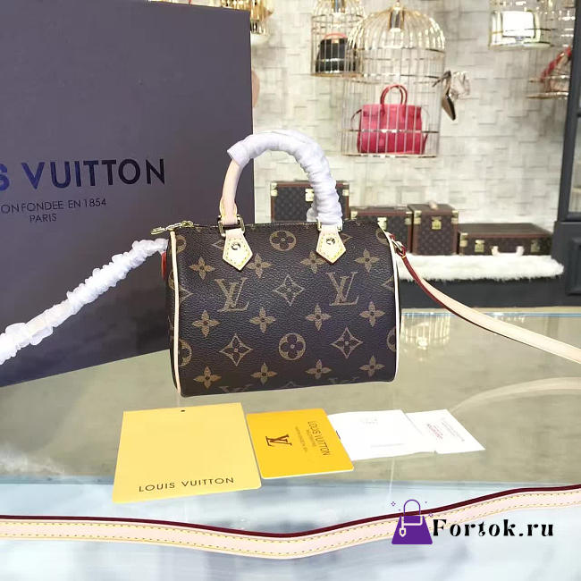 Louis Vuitton NANO SPEEDY M61252 - 1
