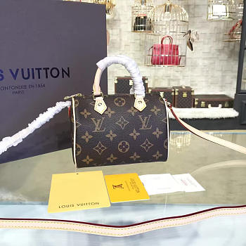 Louis Vuitton NANO SPEEDY M61252