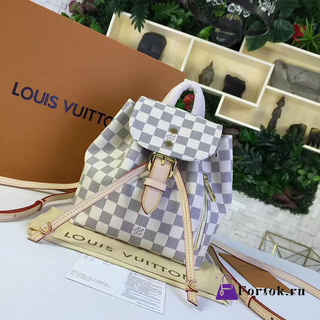 Louis Vuitton SPERONE BB N44026 21.5cm - 1