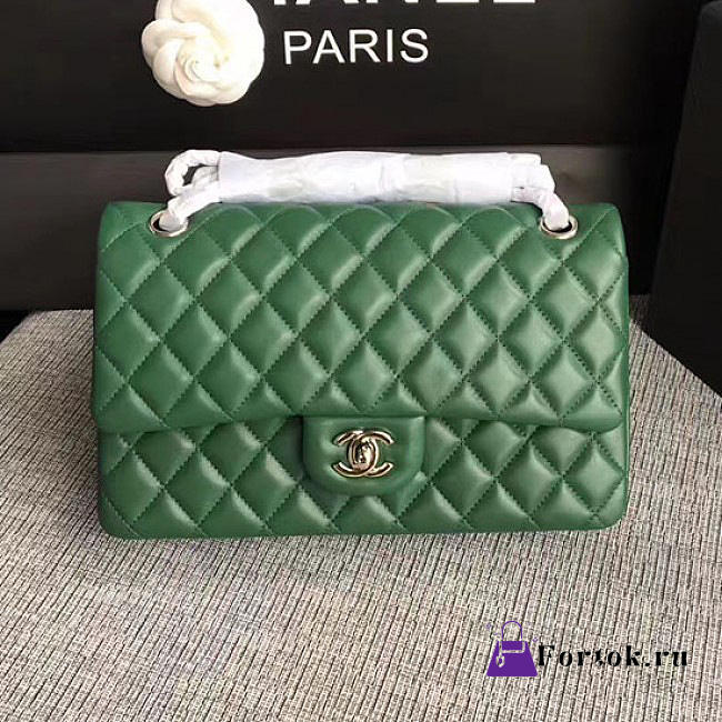 Chanel Lambskin Classic handbag Green A01112 25cm - 1