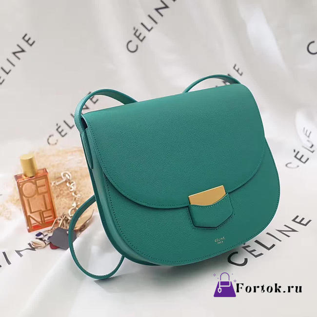 Celine Leather Compact Trotteur Z1118 19cm  - 1