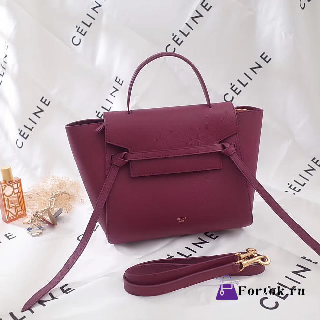 Celine Leather Belt Bag Z1170 27cm  - 1