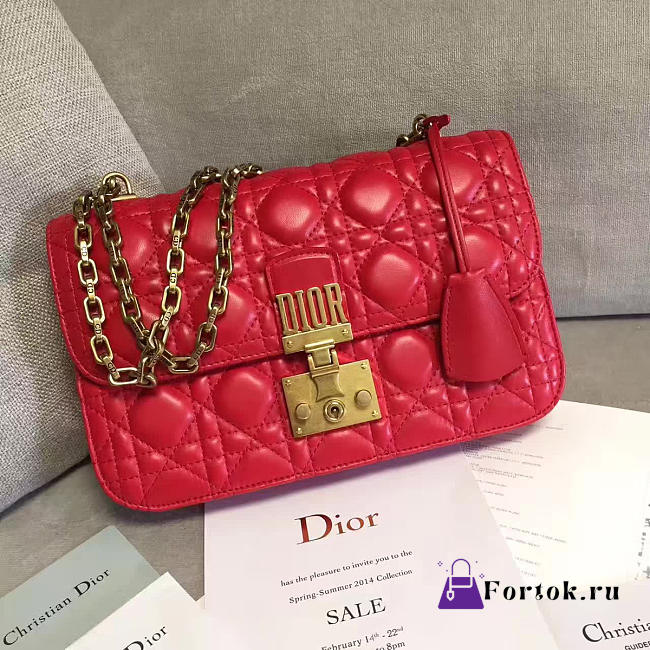 DIORADDICT 1674  - 1